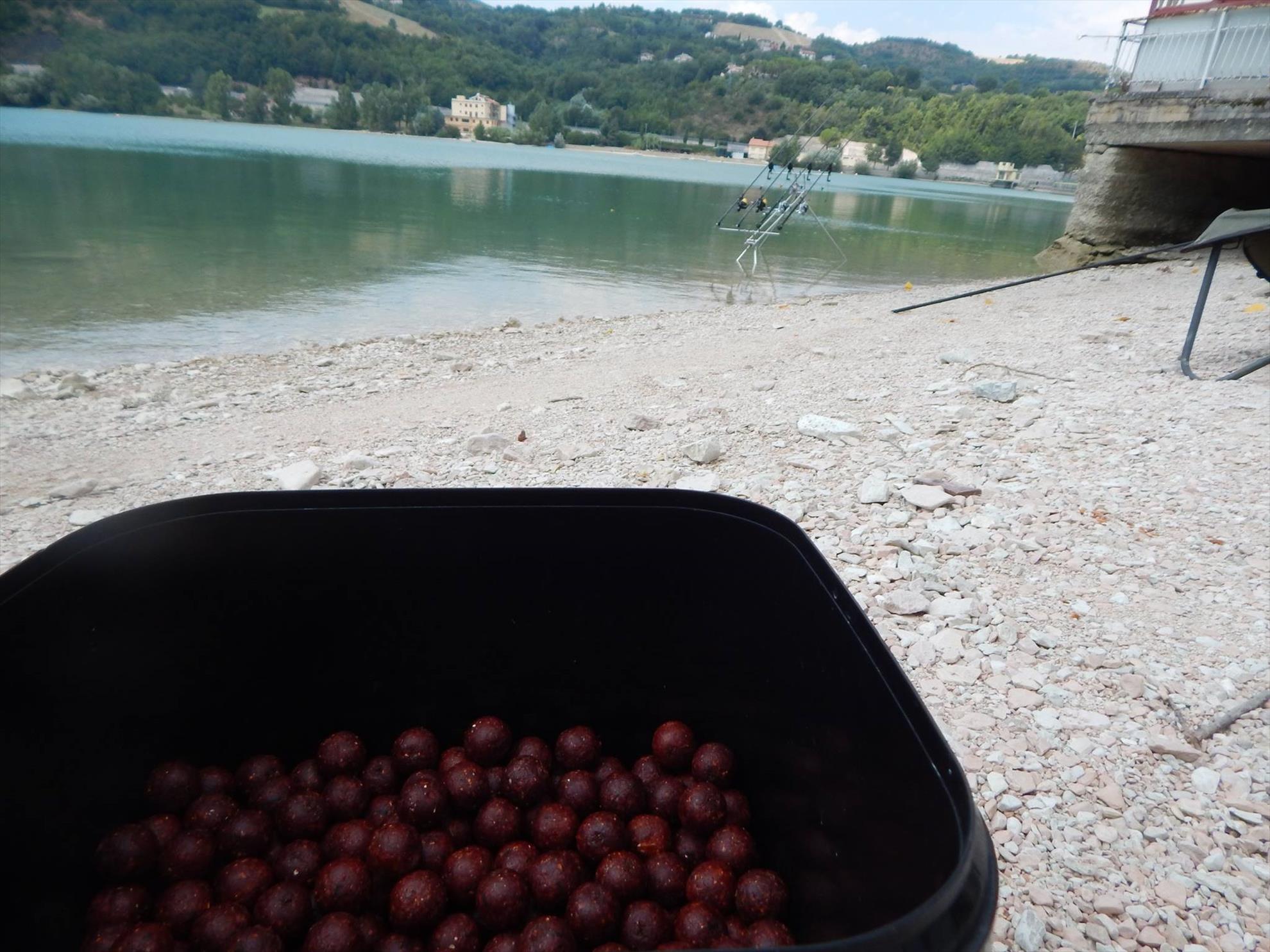 O partida de pescuit in Italia - 118900269107744256633218747215446560801014o.jpg